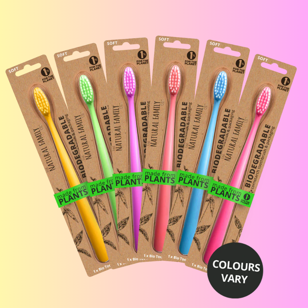 Toothbrush Single - Neon (Assorted)