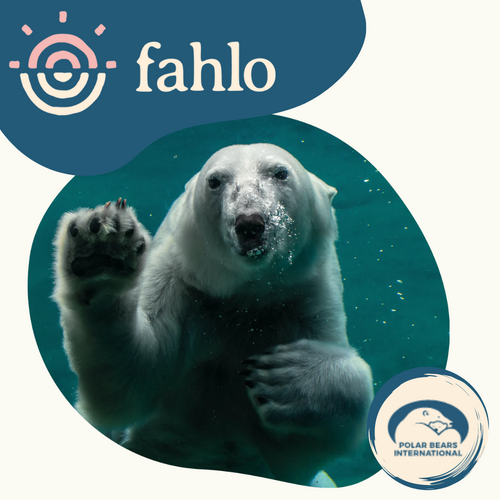 Fahlo Polar Bear Tracking Bracelet