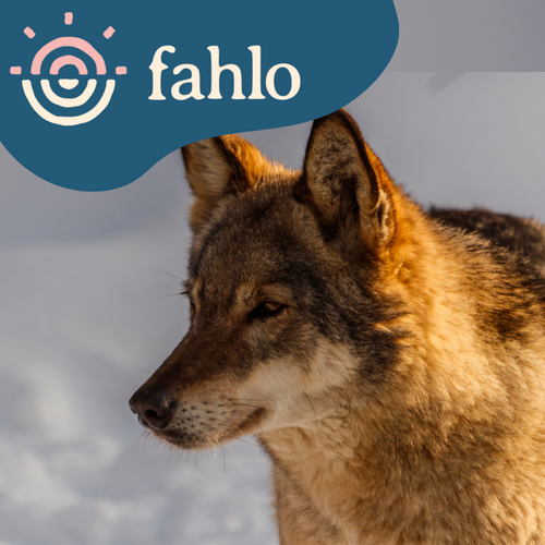 Fahlo Wolf Tracking Bracelet